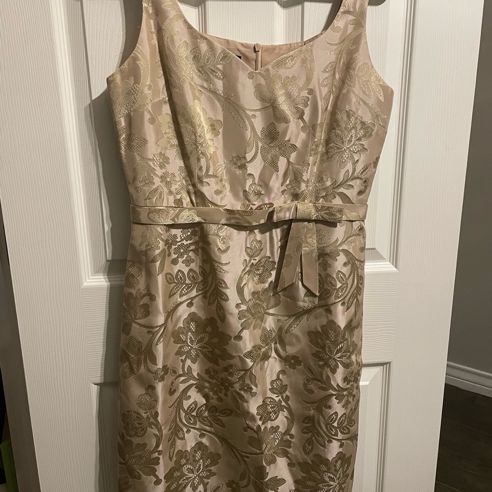 Jones New York Dress in Champagne Beige